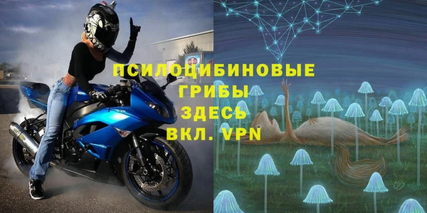 ГАЛЛЮЦИНОГЕННЫЕ ГРИБЫ Пестово