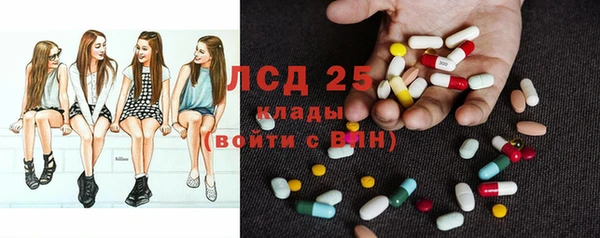 PSILOCYBIN Остров